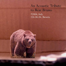 V/A An Acoustic Tribute to Bear Bruno